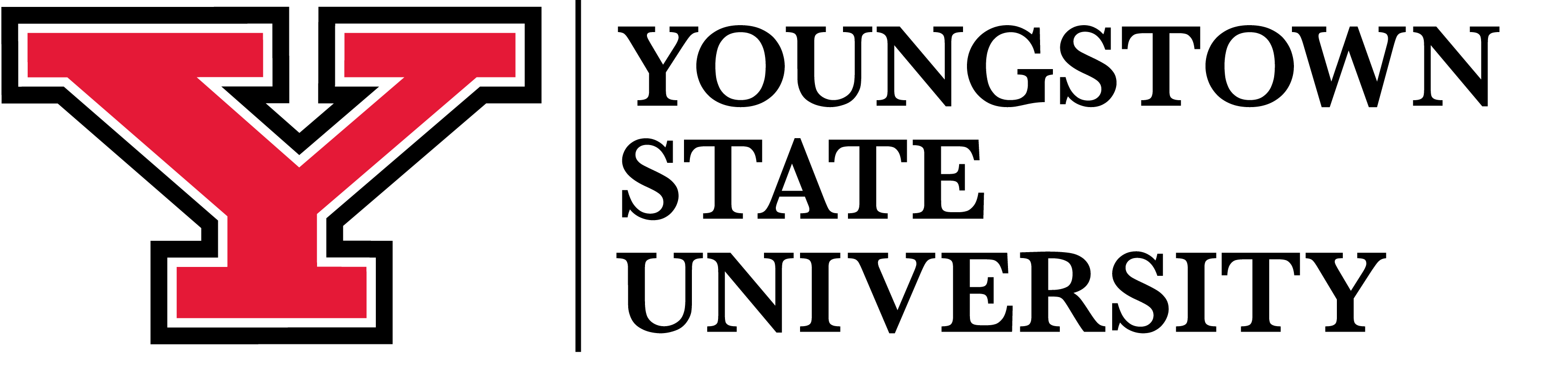 Youngstown School header